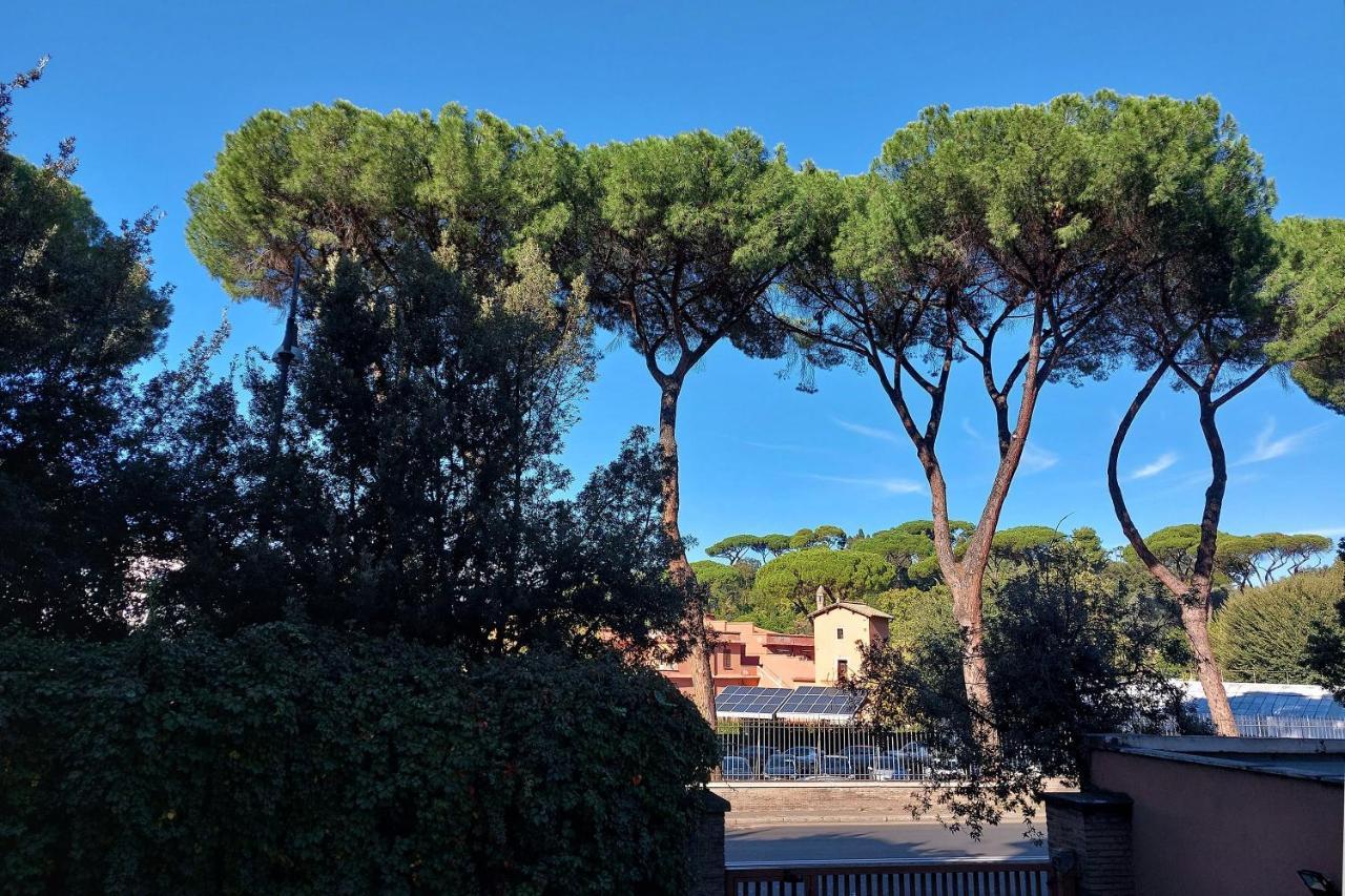 Druso Dream Apartment Colosseo Ρώμη Εξωτερικό φωτογραφία
